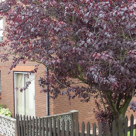 Briardale Bed and Breakfast Lazonby Esterno foto