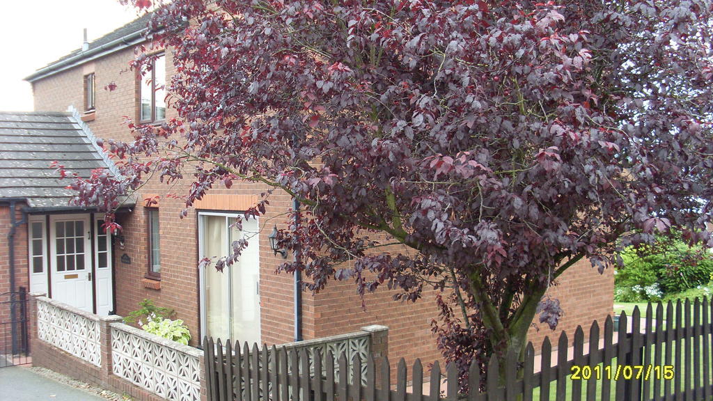 Briardale Bed and Breakfast Lazonby Esterno foto